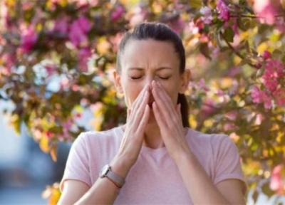 غذایی گیاهی برای کاهش علائم آلرژی بهاره!