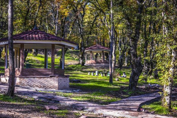 بوستان های جنگلی غرب مازندران روز طبیعت باز است