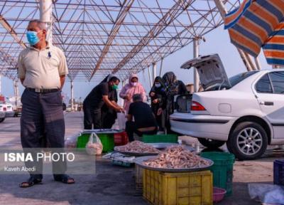 بازار داغ میگو 4 روز مانده به خاتمه فصل صید