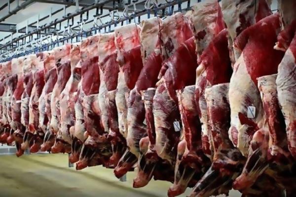 جدیدترین تغییرات قیمت گوشت قرمز در میادین ، راسته گوسفندی کیلویی چند شد؟